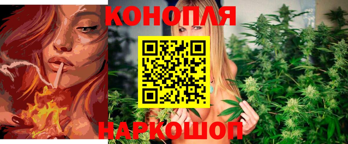 Бошки Шишки AK-47  Конопля VHQ  Грязи  Бошки марихуана Ganja  Конопля VHQ  Вход с VPN 